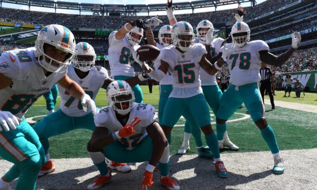 Why the Dolphins Will Make the Playoffs this Season